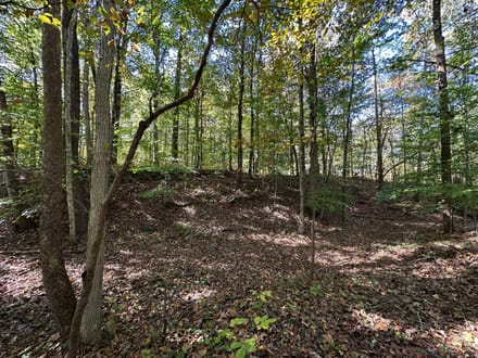 Buck Creek 105