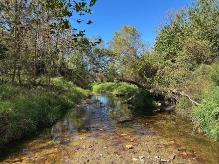 Buck Creek 105