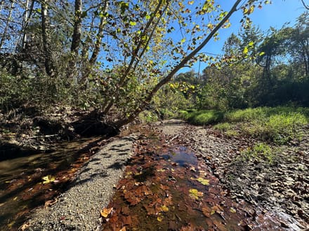 Buck Creek 105
