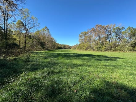 Buck Creek 105