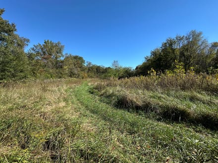 Buck Creek 105