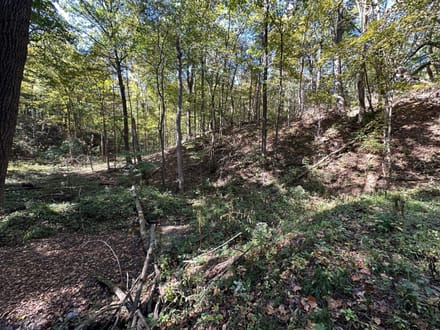 Buck Creek 105