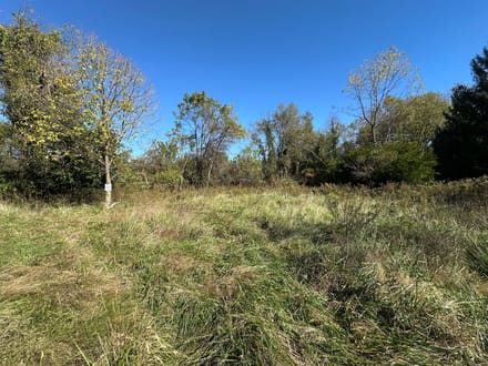 Buck Creek 105