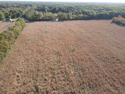 10 +/- ACRES - CORNER LOT - STARKE COUNTY - LAND FOR SALE