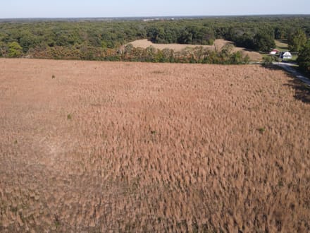 10 +/- ACRES - CORNER LOT - STARKE COUNTY - LAND FOR SALE