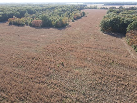 10 +/- ACRE LOT - GROVERTOWN - STARKE COUNTY - LAND FOR SALE