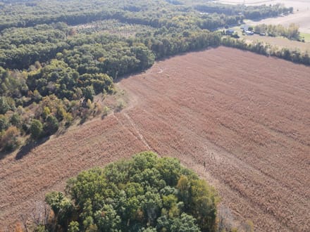 10 +/- ACRE LOT - GROVERTOWN - STARKE COUNTY - LAND FOR SALE