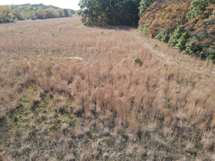 10 +/- ACRE LOT - GROVERTOWN - STARKE COUNTY - LAND FOR SALE