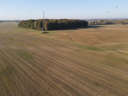 146.56 +/- ACRES - HAMILTON RD ROANOKE, IN - ALLEN COUNTY - LAND FOR SALE