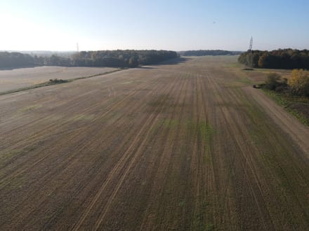 146.56 +/- ACRES - HAMILTON RD ROANOKE, IN - ALLEN COUNTY - LAND FOR SALE