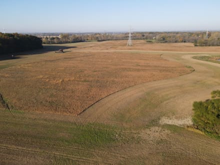 146.56 +/- ACRES - HAMILTON RD ROANOKE, IN - ALLEN COUNTY - LAND FOR SALE