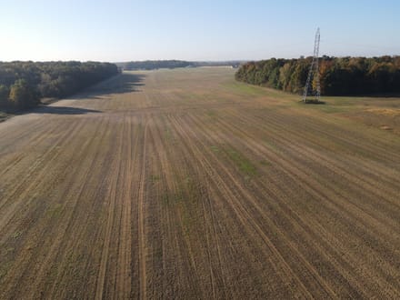 146.56 +/- ACRES - HAMILTON RD ROANOKE, IN - ALLEN COUNTY - LAND FOR SALE