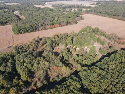 20 +/- ACRES - VACANT LAND - STARKE COUNTY - POTENTIAL BUILD SITE - RECREATIONAL LAND