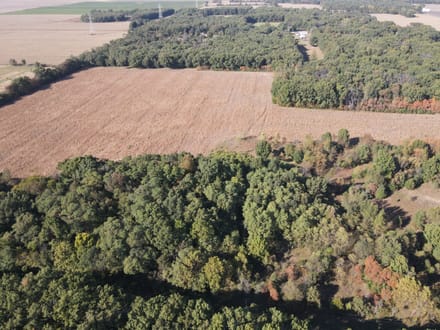 20 +/- ACRES - VACANT LAND - STARKE COUNTY - POTENTIAL BUILD SITE - RECREATIONAL LAND