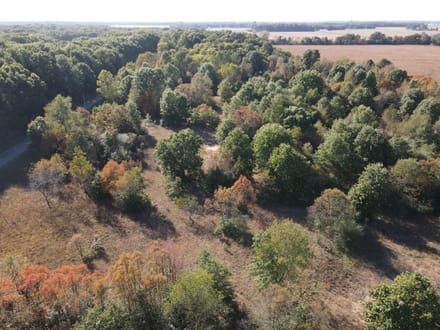 20 +/- ACRES - VACANT LAND - STARKE COUNTY - POTENTIAL BUILD SITE - RECREATIONAL LAND