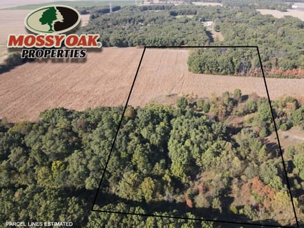20 +/- ACRES - VACANT LAND - STARKE COUNTY - POTENTIAL BUILD SITE - RECREATIONAL LAND
