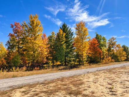 8.75+/- Acre Recreational Vacant Land Ogemaw County MI