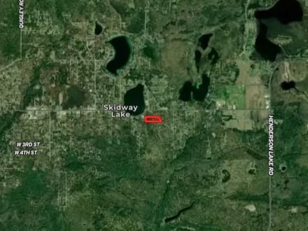 3.95+/- Acres Vacant Land Among the Pines Skidway Lake MI
