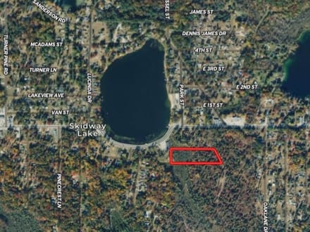 3.95+/- Acres Vacant Land Among the Pines Skidway Lake MI