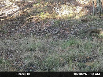 20.23+/- Acre Hunting Property in Ogemaw County MI