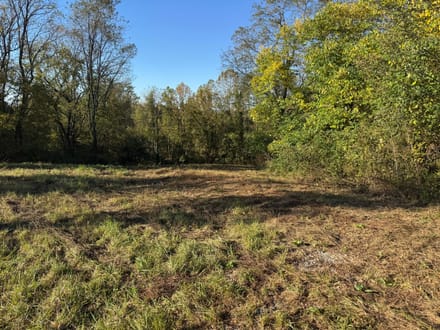 Land For Sale!  200+ acres of excellent hunting in Switzerland County, IN.