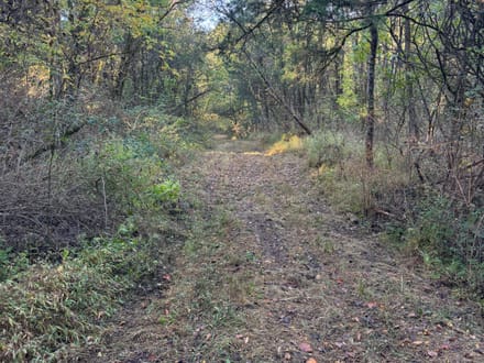 Land For Sale!  200+ acres of excellent hunting in Switzerland County, IN.