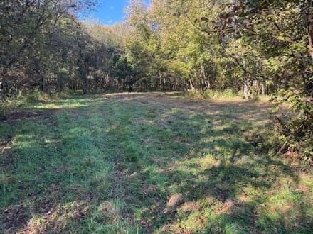 Land For Sale!  200+ acres of excellent hunting in Switzerland County, IN.