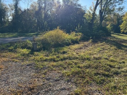 Land For Sale!  200+ acres of excellent hunting in Switzerland County, IN.