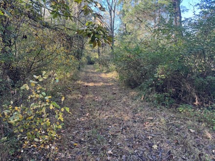 Land For Sale!  200+ acres of excellent hunting in Switzerland County, IN.