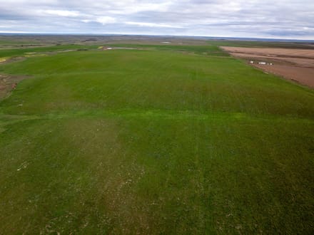 Jones County, SD 160 Acres East