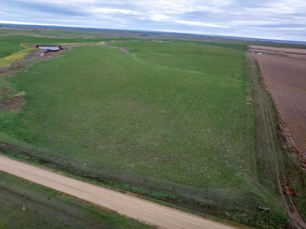 Jones County, SD 160 Acres East