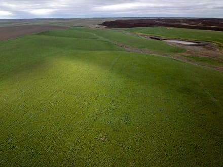 Jones County, SD 160 Acres East