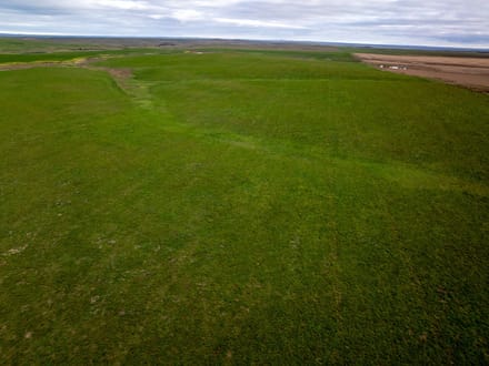 Jones County, SD 160 Acres East