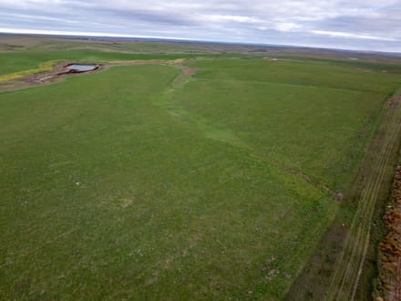 Jones County, SD 160 Acres East