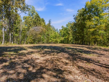 Beautiful Homesite with Acreage in Nunnelly, TN