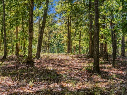 Beautiful Homesite with Acreage in Nunnelly, TN