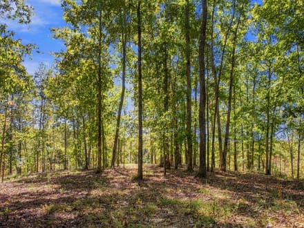 Beautiful Homesite with Acreage in Nunnelly, TN