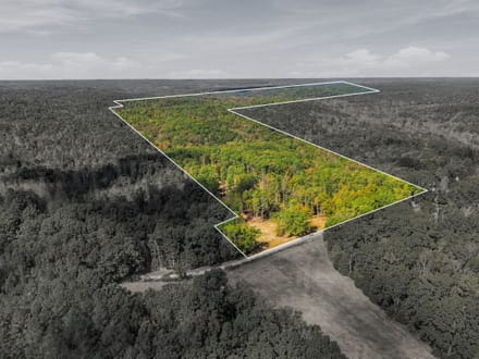 Beautiful Homesite with Acreage in Nunnelly, TN