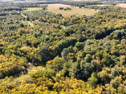 For Sale - 30.12 +/- Acres on Wabash River - Huntington, Indiana - Huntington County