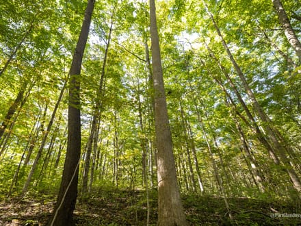 For Sale - 30.12 +/- Acres on Wabash River - Huntington, Indiana - Huntington County