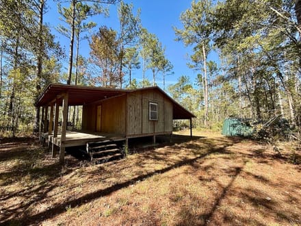 117.30 acres of Legacy Hunting & Timberland Adjoining Hofmann Forest For Sale in Jones County NC!