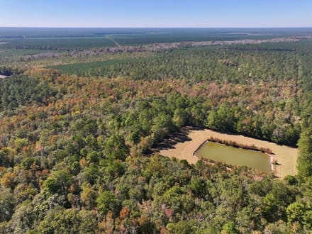 117.30 acres of Legacy Hunting & Timberland Adjoining Hofmann Forest For Sale in Jones County NC!