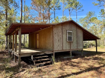 117.30 acres of Legacy Hunting & Timberland Adjoining Hofmann Forest For Sale in Jones County NC!