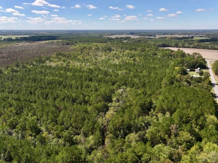 47.56± acres of Recreational and Timberland For Sale in Lenoir County, NC!