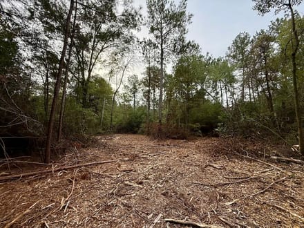 47.56± acres of Recreational and Timberland For Sale in Lenoir County, NC!