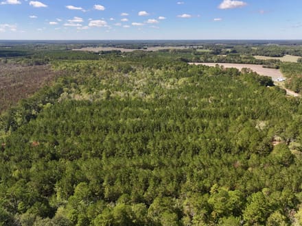 47.56± acres of Recreational and Timberland For Sale in Lenoir County, NC!