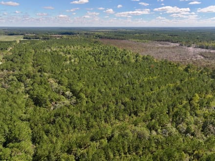 47.56± acres of Recreational and Timberland For Sale in Lenoir County, NC!