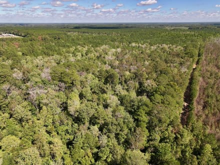47.56± acres of Recreational and Timberland For Sale in Lenoir County, NC!
