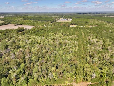 47.56± acres of Recreational and Timberland For Sale in Lenoir County, NC!