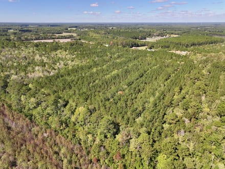 47.56± acres of Recreational and Timberland For Sale in Lenoir County, NC!
